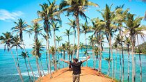 Sri Lanka 12 Days Private Guided Tour with 4* Hotels with HB