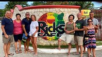 Ricks cafe negril tour