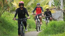 Bali Cycling Tour with Private Hotel Transfer 