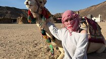 Private Safari ATV Quad Biking in Hurghada