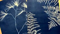 Make Sun Prints in the Desert