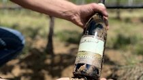 Boutique Winery Tour & Tasting in Valpolicella