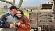 A Multi-Vineyard And Winery Tour