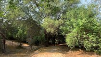Mushrif National Park with Private Transportation 