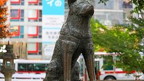 Tokyo Shibuya Crossing & Hidden Streets Walking Tour