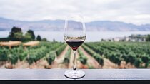 Visit Sorrento, Pompeii & enjoy Wine-Tasting lunch (8-hour tour)