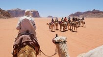 Private Morning Desert Safari with Camel Riding in Dubai