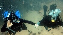 Portimão: Wreck Diving in the Ocean Revival Park