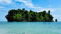 Gandoca-Manzanillo Hike Tour with Dolphin Watching