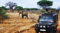 5 Day Private Garden Route Tour from Cape Town