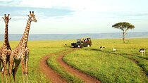 Half Day Durban City Tour and Phezulu Safari Park