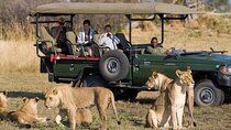 Cape Town to Durban & Garden Route - 7 day Private Safari 