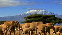 2-Day Kruger National Park Safari Adventure from Johannesburg
