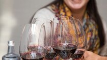 Valencia Wine Tasting and Tapas Experience