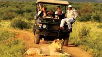 Garden Route Private 3 Day Tour from Cape Town Safari and Hiking