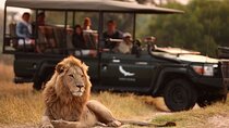 5 Day Small Group Garden Route Tour from Cape Town 