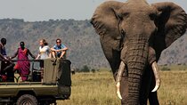 4 Days Small Group Tour to Garden Route from Cape Town