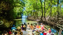 PRIVATE: 3in1 - Los Haitises N.P. + Y. Waterfall + Mount. Redonda