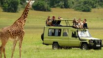 2 Day Tala Game Reserve & Drakensberg Tour From Durban