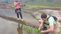 6-Days Sapa Trekking & Ha Giang Loop