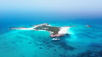 Daymaniyat Islands Oman Sharing Tour