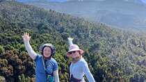 7 Days Private Climb via Lemosho Route 