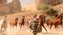 Photoshoot with Running Horses