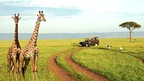2 Day Lesotho Sani Pass, Nelson Mandela Capture Site & Tala Game Reserve Tour
