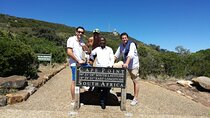Full Day Cape of Good Hope & Boulder's Beach Penguin Private Tour