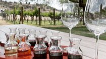 Voted Best in Sedona-Private Wine Tour of Vortex, Wine & Shopping