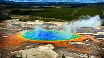 Yellowstone in a Day - Grand Loop Yellowstone Tour