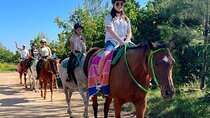 Tripple Play: Green Grotto Cave Horseback Riding and River Tubing