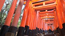  Kyoto Private Tour with National Licensed Guide 