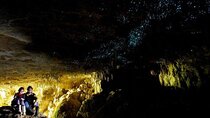 Waitomo Glow Worm Caves Private Tour from Auckland