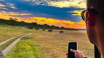 Game Drive in Zambezi National Park, Victoria Falls 