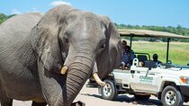 Chobe Day Trip from Victoria Falls