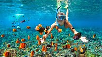 Bali Blue Lagoon Snorkeling Tour With Group Transfers And Lunch