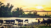 6-Day Private Tour Mu Cang Chai and Sapa from Hanoi