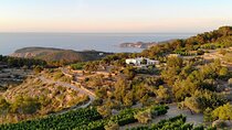 Discover the Essence of Ibiza’s rich wine culture