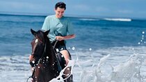 Saba Beach Horse Riding Bali Beach Horse Back Riding