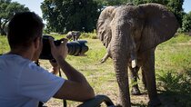 3-Days Maasai Mara Group Safari on 4x4 Land Cruiser Jeep