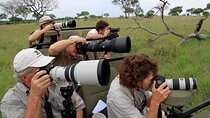 4 Days Safari Tour in Masai Mara by 4x4 Jeep