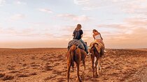 Sunset camel ride and dinner in Agafay desert. 