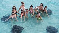 Private 4 hour Catamaran Tour