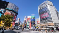 Tokyo 7hr Tour Licensed Guide & Vehicle: NRT Airport Drop Off