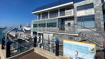 Half Day Tour to Robben Island with Reserved Tickets