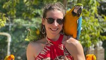 Rasta Cultural Experience with Herb Garden and Animal Farm Tour