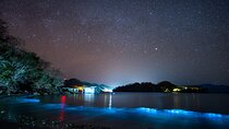 Bioluminescence Tour, Speedboat, Camping From Puntarenas