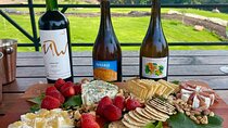 Private Tour at Maturana Wines and VIK winery with Lunch