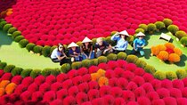Quang Phu Cau Incense Village Hoa Lu Trang An Private Tour